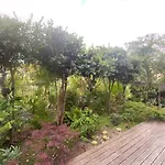 Koko Garden Apartment