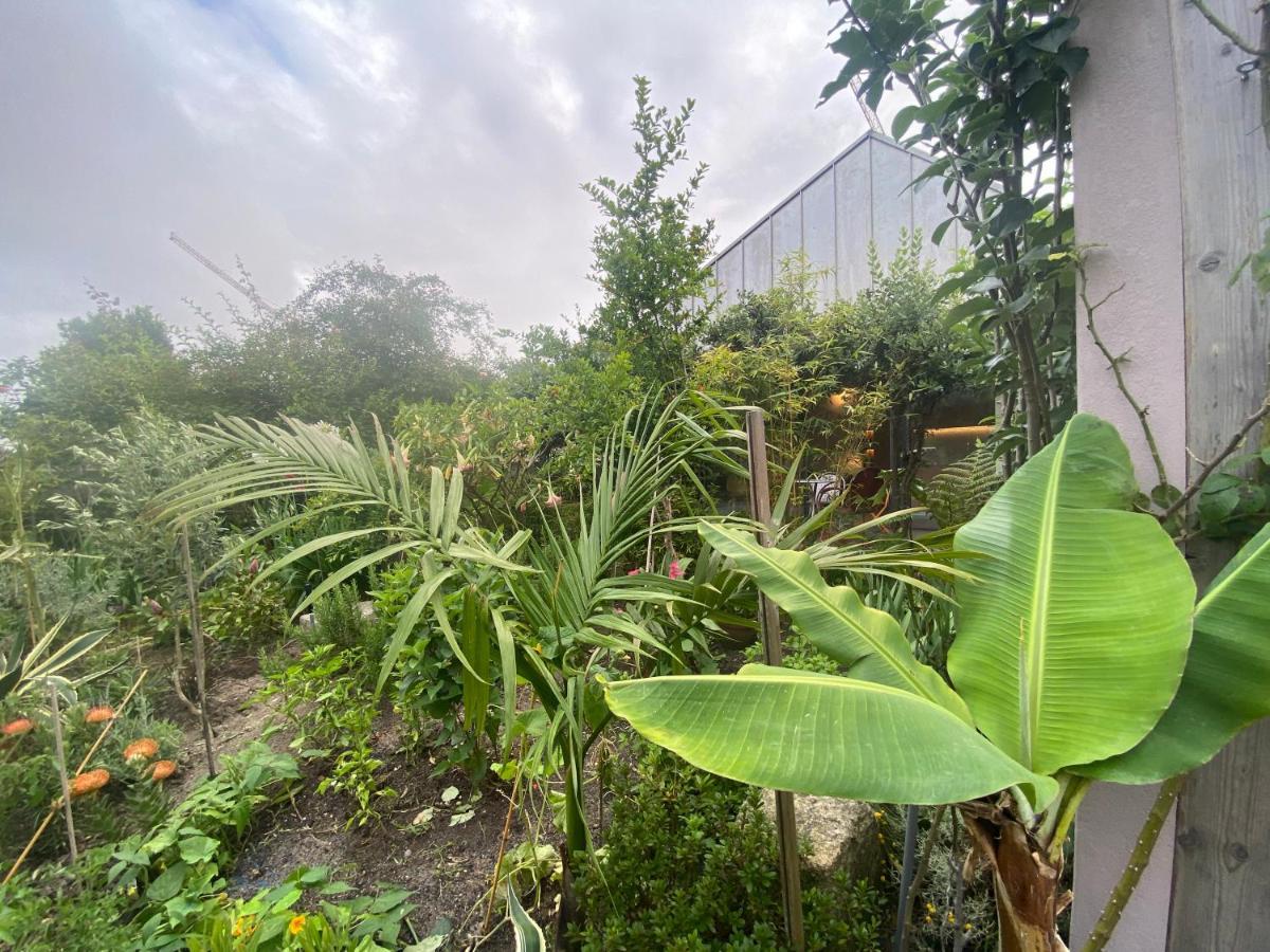 Koko Garden