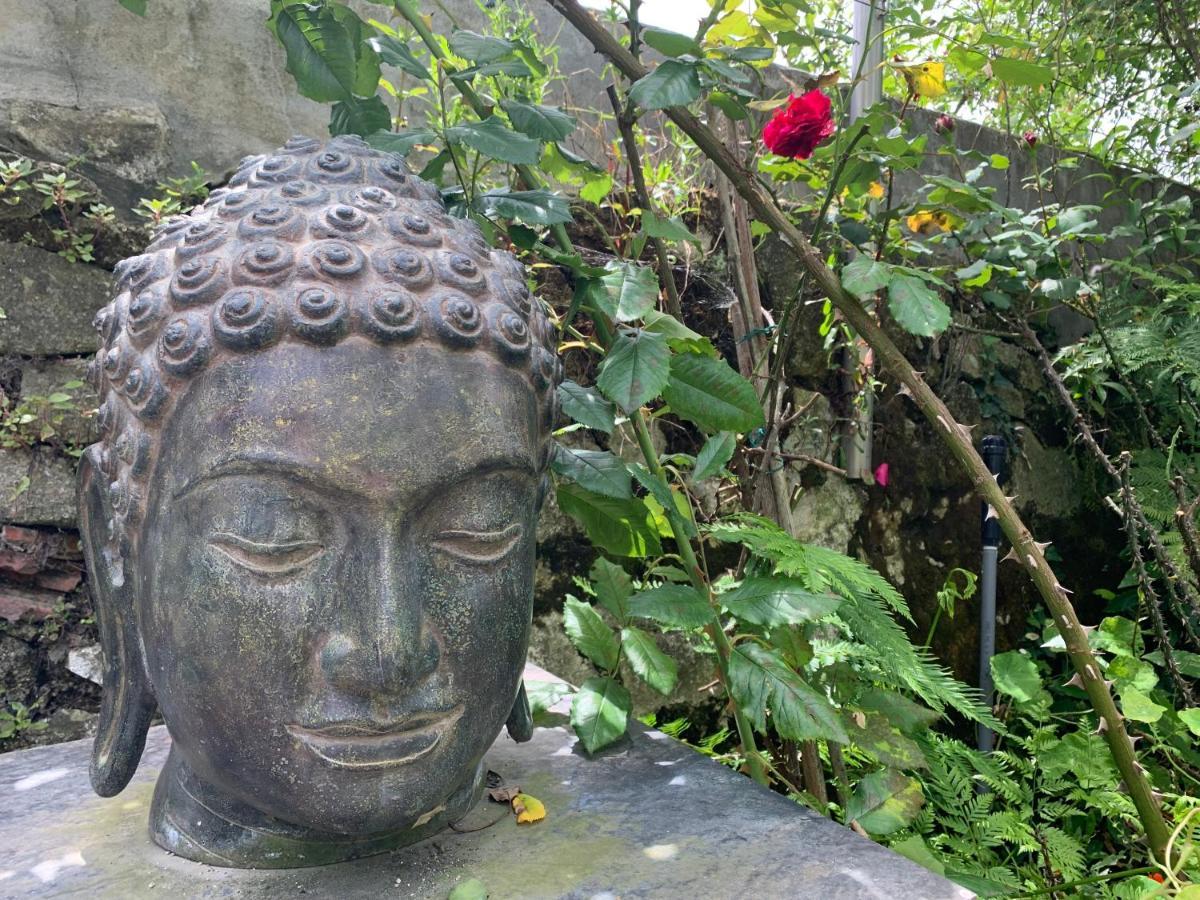 Koko Garden Appartement