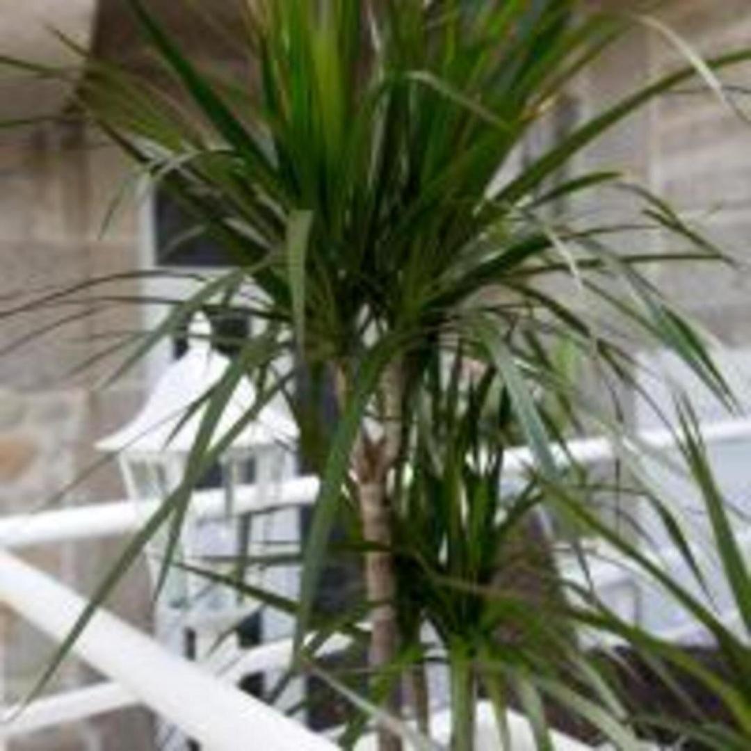 Apartment Guestready - Comendador Sto Ildefonso Porto