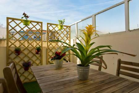 Appartement Casa Manas *