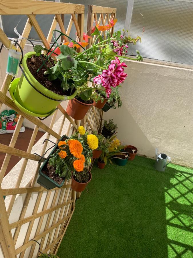 Casa Manas Appartement *