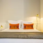Barao Oporto Apartments