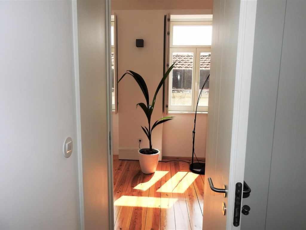 Delight 3 Luxury In Historic Center 4 P Appartement