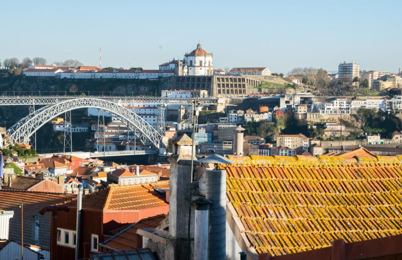 Olival 54 Porto