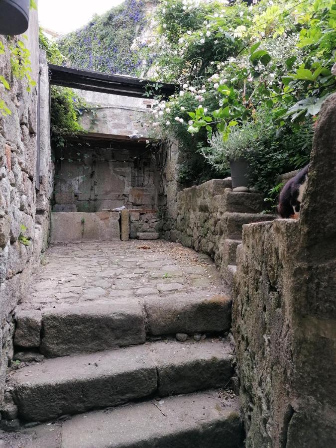 Holiday home Verites Dame Porto