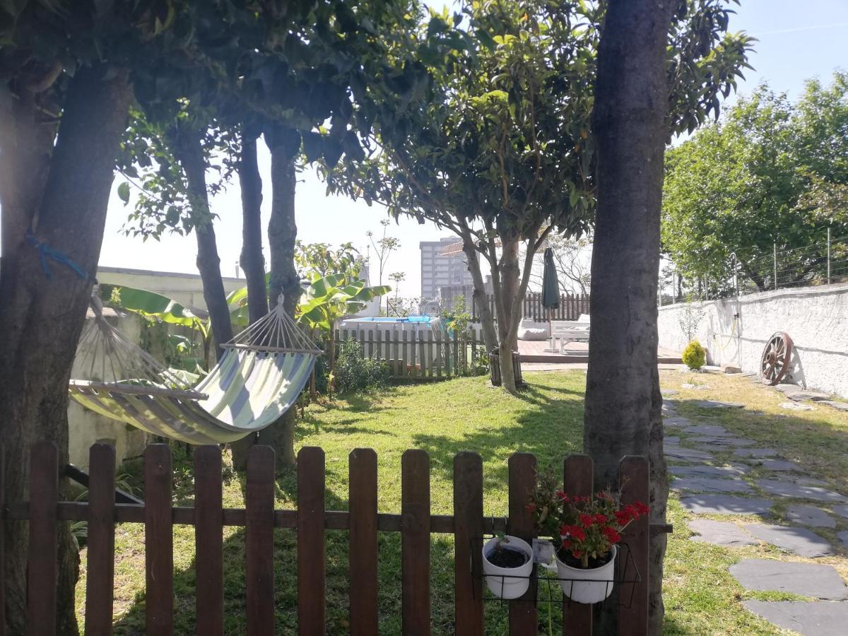 Apartment Downtown Garden Terrace , Only One House Up To 21pax