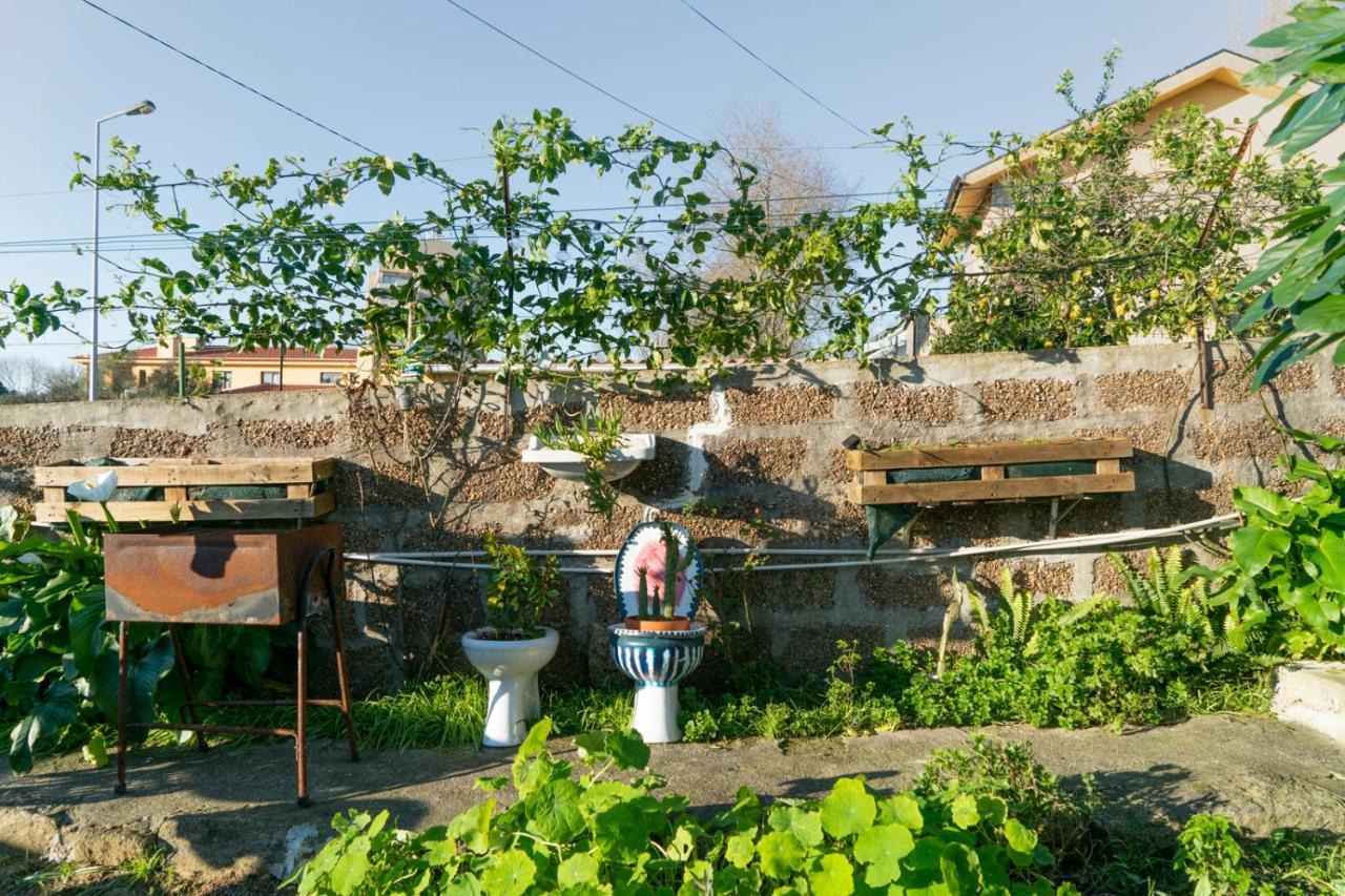Growth House