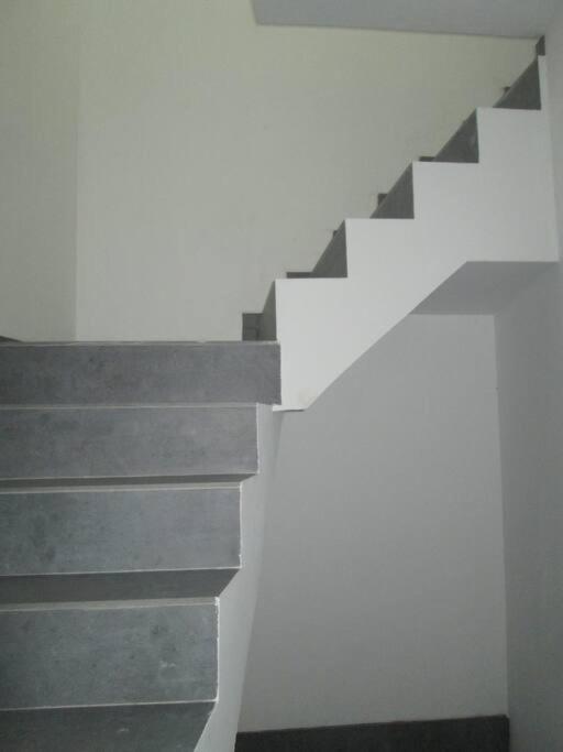 Bridge D. Luis 3º Apartment