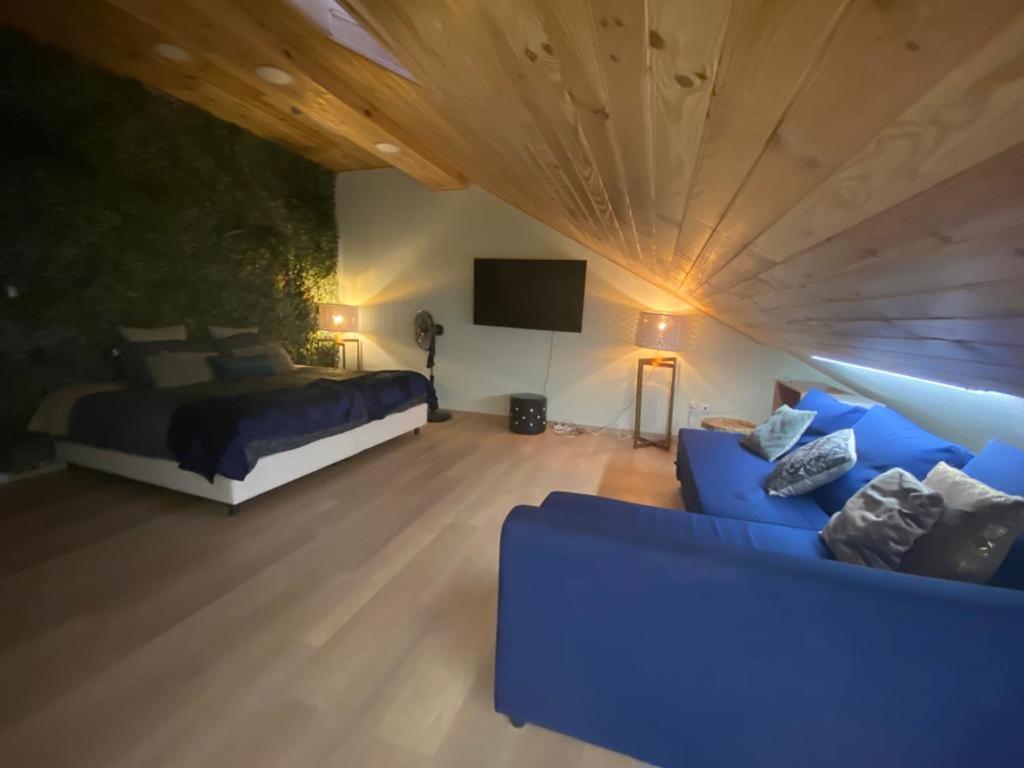 Apartment Loft Zoe Oasis - Centro