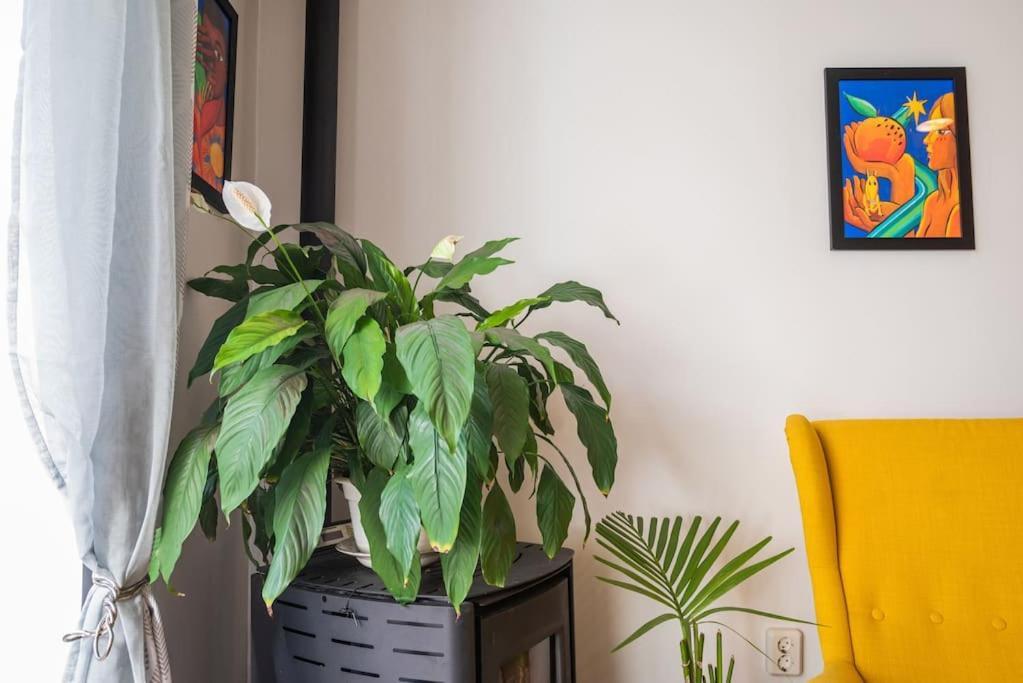 Gardeny Apartment Porto