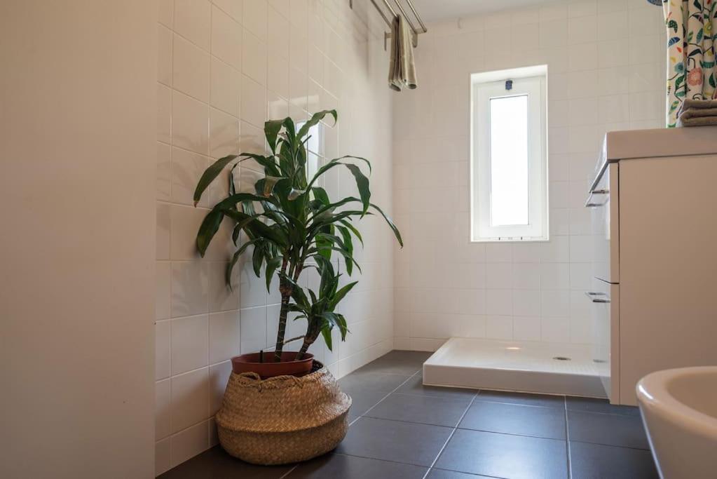 Gardeny Apartment *