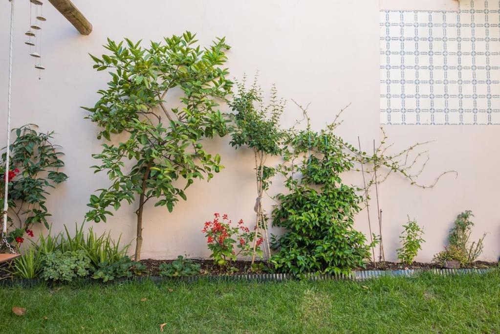 Apartment Gardeny