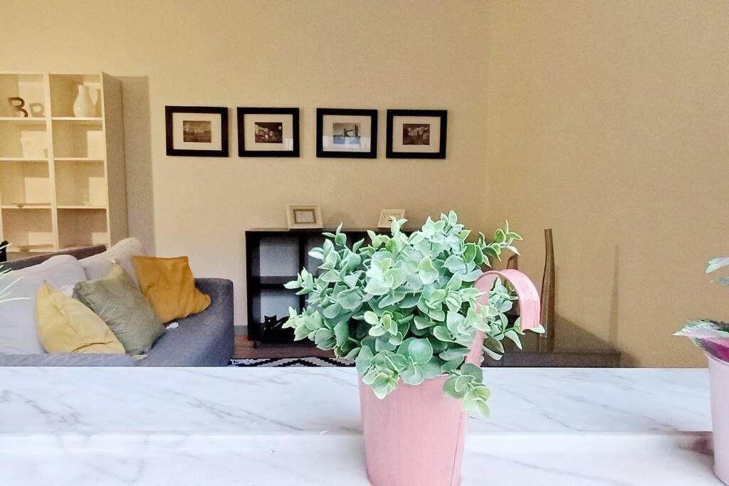 Lovling And Friendly With Terrace Apartment