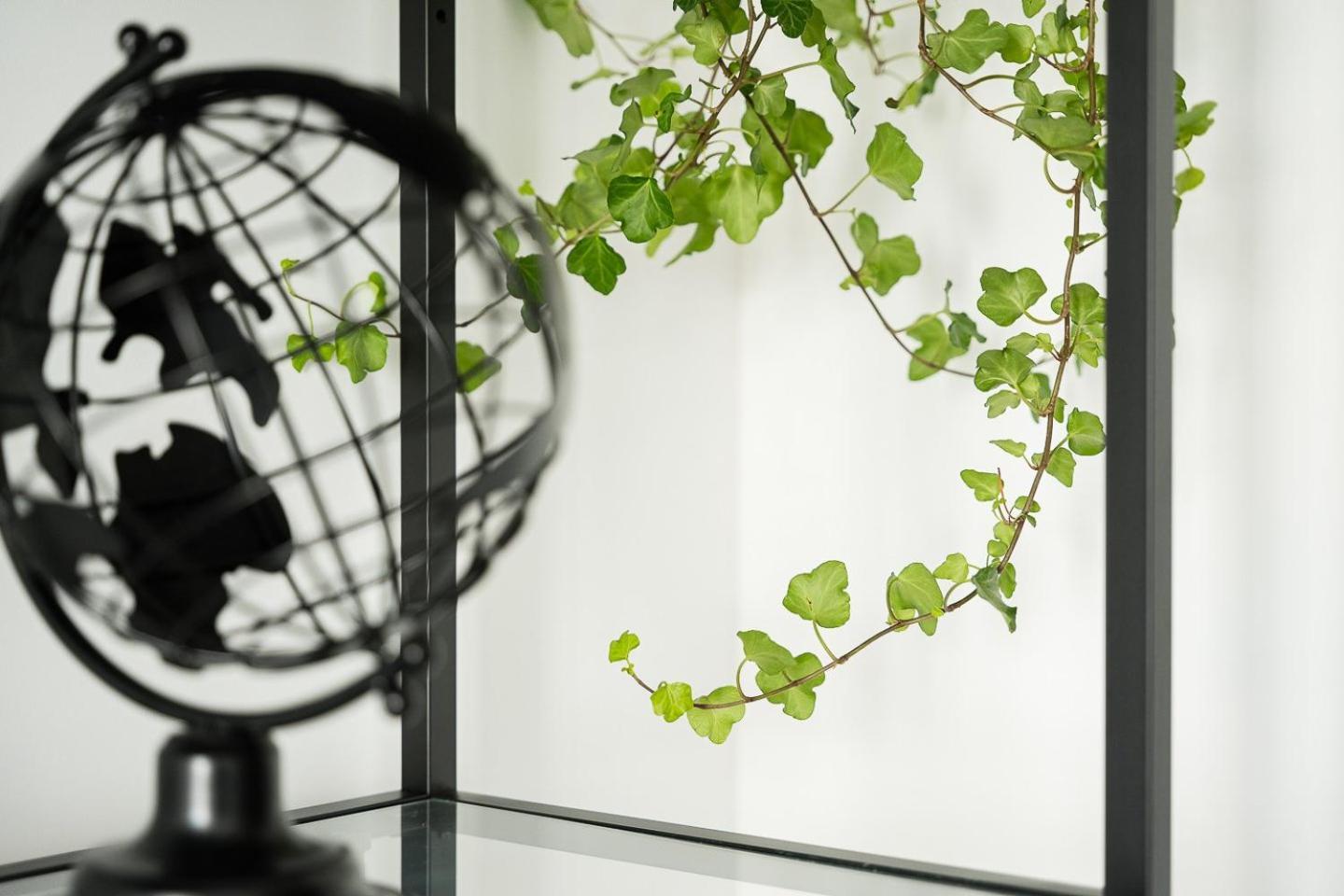 Apartment Guestready - Serene In