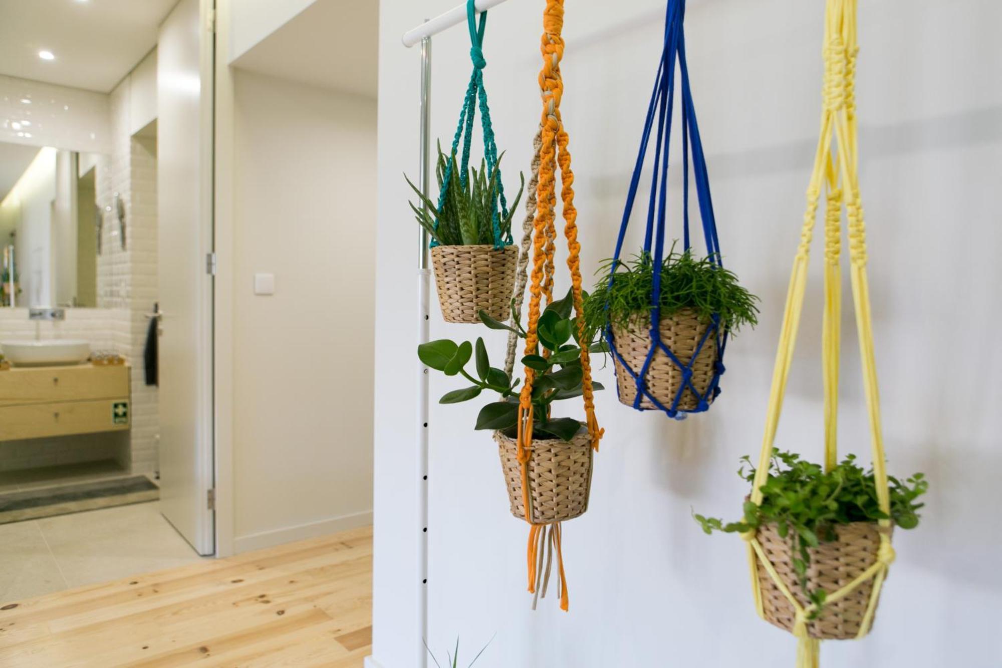 Apartamento Nascente *
