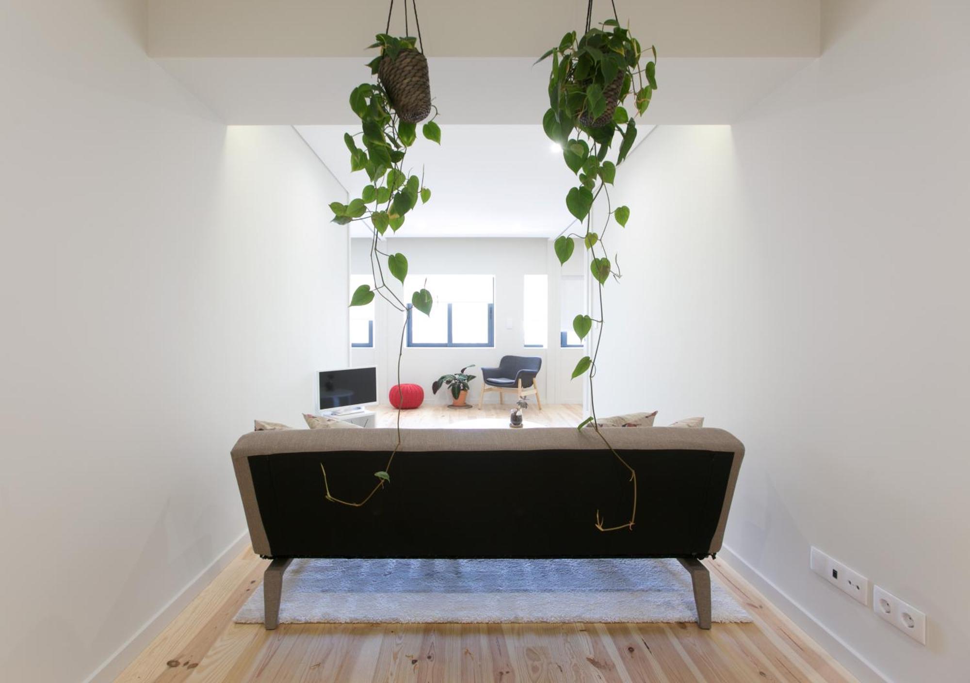 Apartamento Nascente Porto