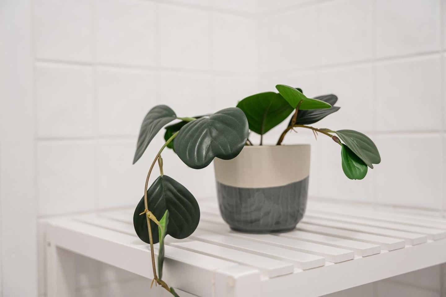 Guestready - A Warm Refuge In Cedofeita Apartment