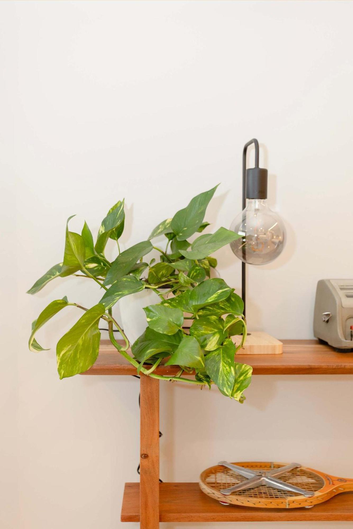 Apartment Liiiving In - Luxury Design M Porto