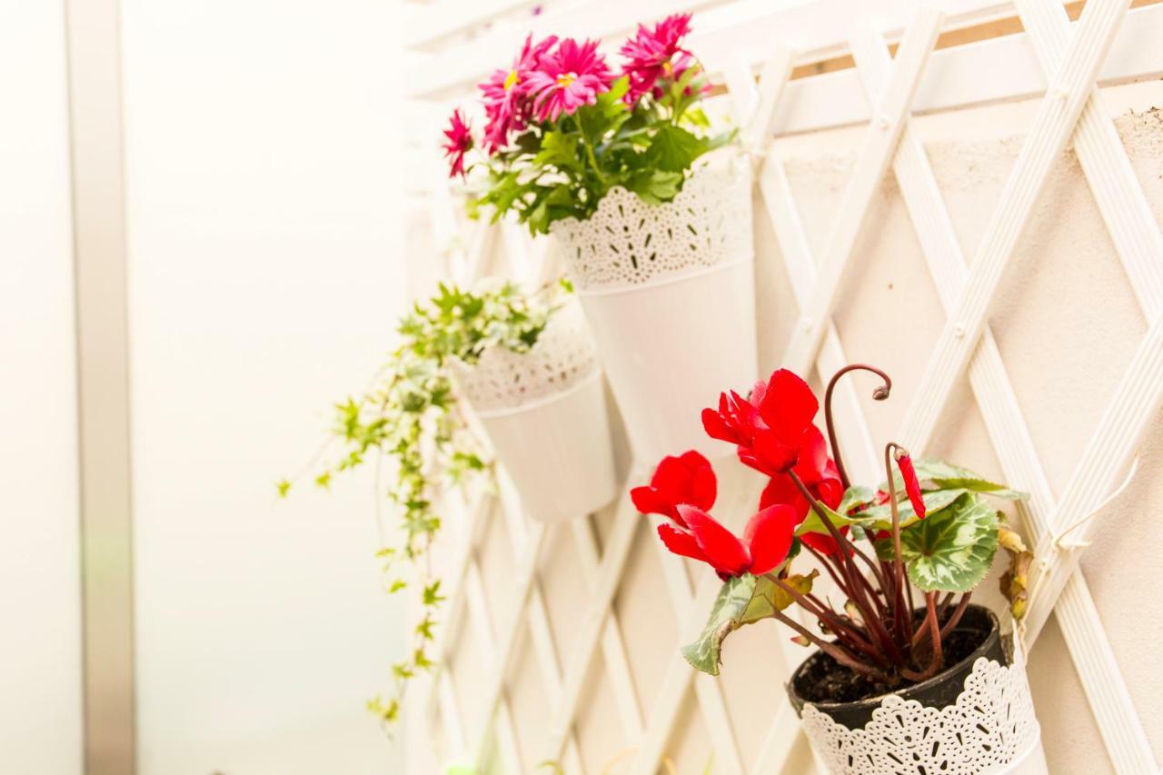 Opo Arte With Terrace And A/c Appartement *