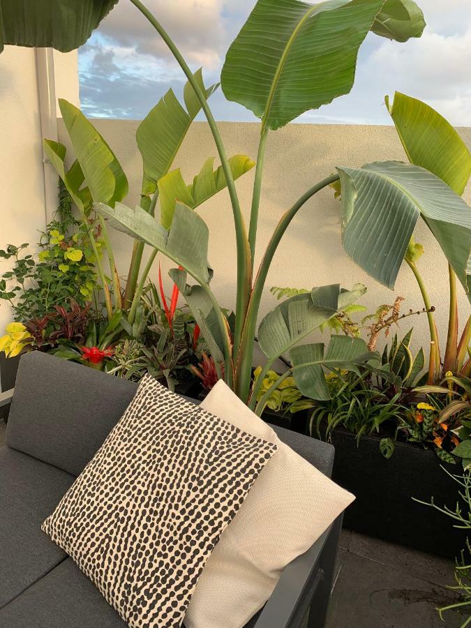 Apartment Oak Valley Flats Santa Catarina