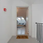 Cosy Downtown Apartments