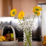 Kikas Apartment