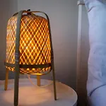 Solar Studio Fontainhas