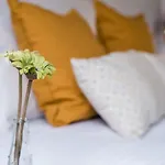 Papa\'S Cedofeita Studio Apartments