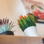 Guestready - The New Alegria House