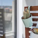 Guestready - O Apartamento Da Musica