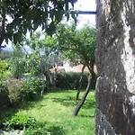 Casa Dos Bisavos- Slow Down Na Rota Do Romanico