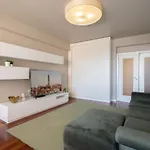 Carolina Roomy & Modern Apartment