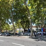 Viva Marques Studio