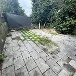 Torrinha\'S Backyard