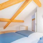 Porto Cedofeita Art & Design Loft