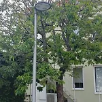 Green House / Casa Verde
