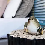 Guestready - Nature-Themed Studio