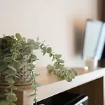 Guestready - Oportogrow Central Batalha 1