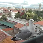 Seagull Rooftop Downtown - Light And Views