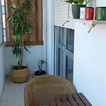 Cedofeita 408, Green