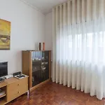 Apartment Camoes