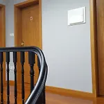 Cool Guesthouse