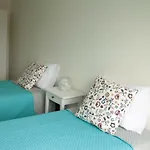 996 Santa Catarina Porto