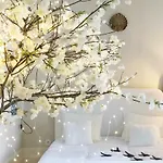 Boutique Rentals - Little Treasure Studio