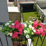 Camoes By Trindade Sweet Home