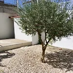 Central Ground Floor With Garden