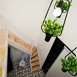 Get A Cactus And Books Studio