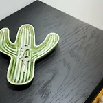 Get A Cactus And Books Studio
