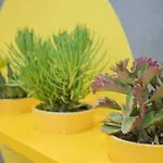 Liiiving In Porto - Clerigos Terrace Apartment